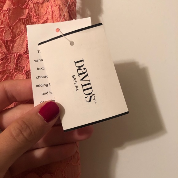 David’s Bridal Dress Parfait color - Picture 3 of 3